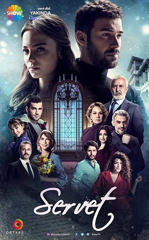 Poster della serie Servet