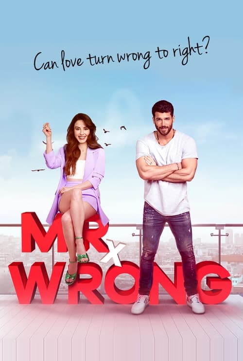 Poster della serie Mr. Wrong