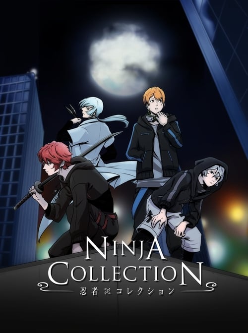 Poster della serie Ninja Collection