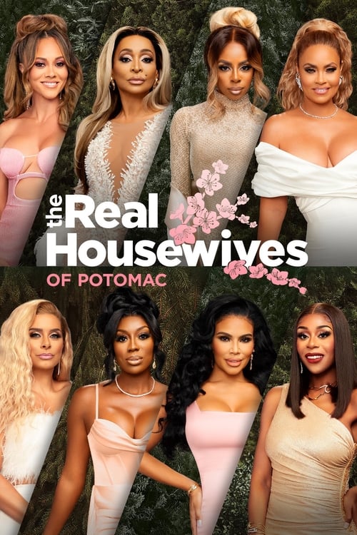 Poster della serie The Real Housewives of Potomac