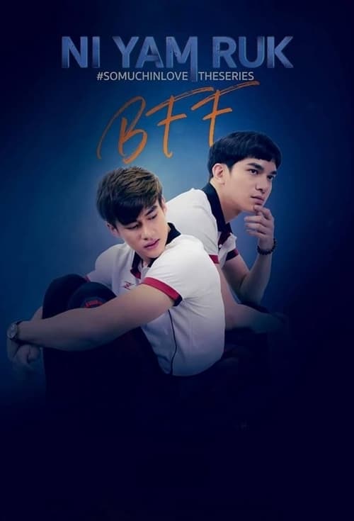 Poster della serie So Much In Love