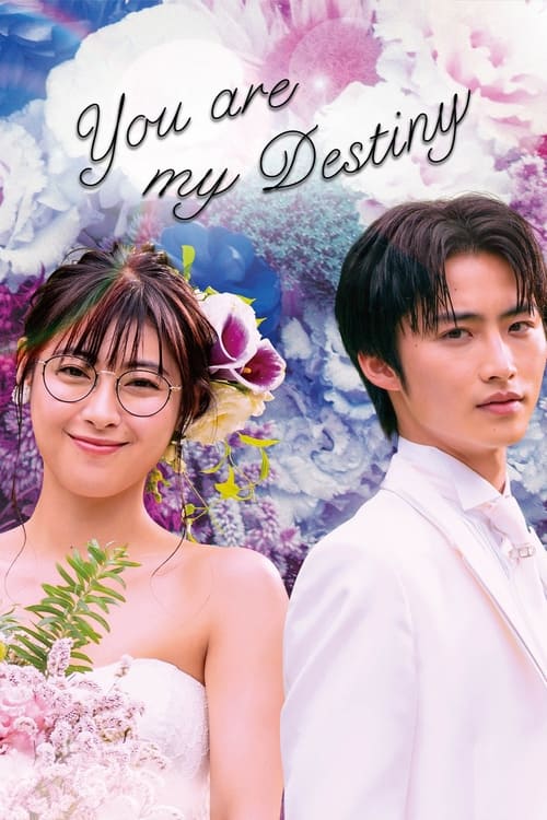 Poster della serie You Are My Destiny
