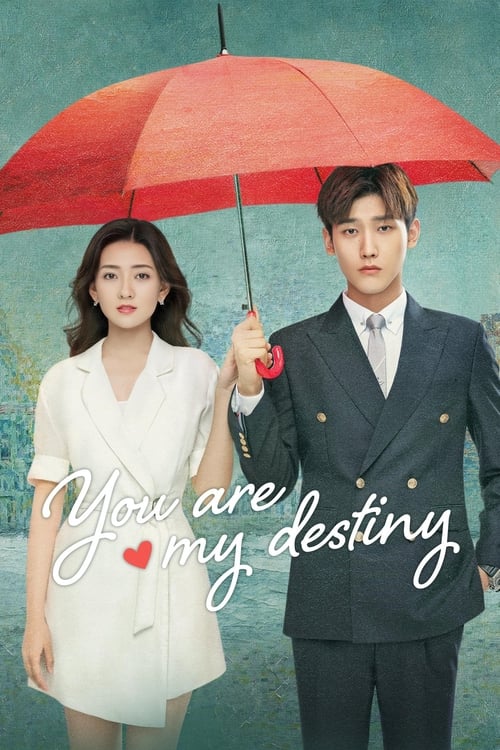 Poster della serie You Are My Destiny