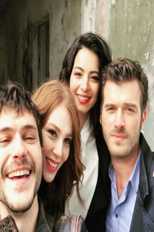 Poster della serie Çarpışma