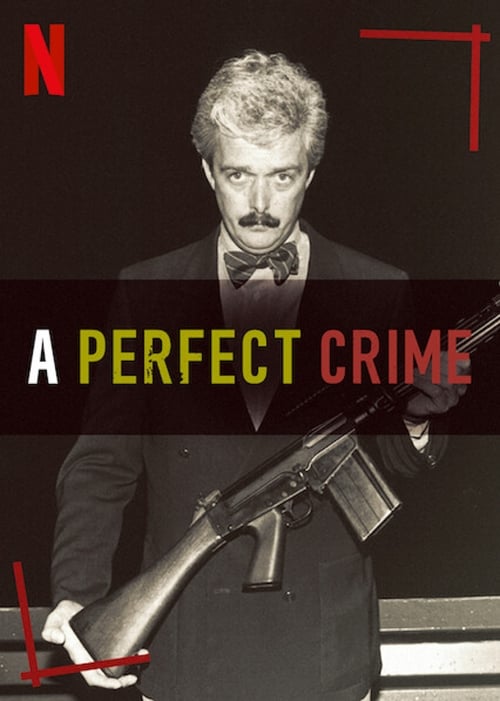 Poster della serie A Perfect Crime