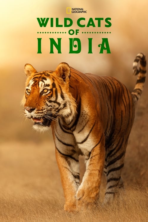 Poster della serie Wild Cats of India
