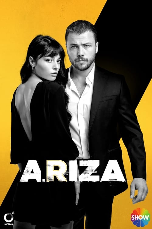 Poster della serie Arıza