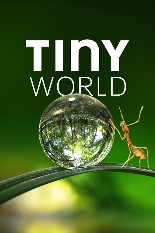Poster della serie Tiny World
