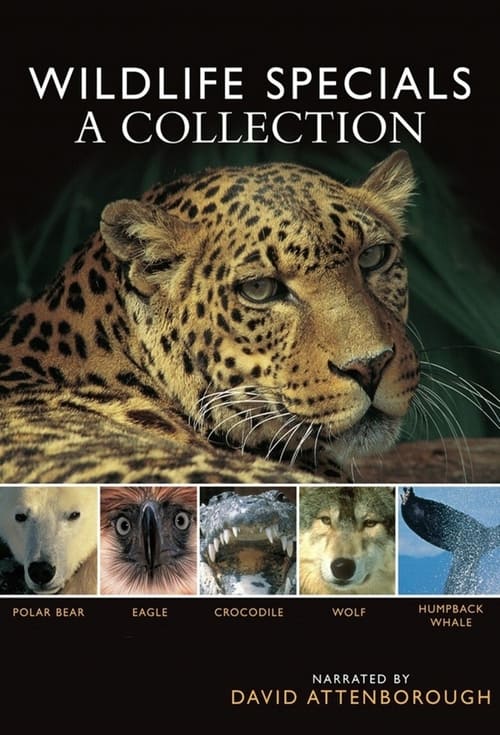 Poster della serie Wildlife Specials