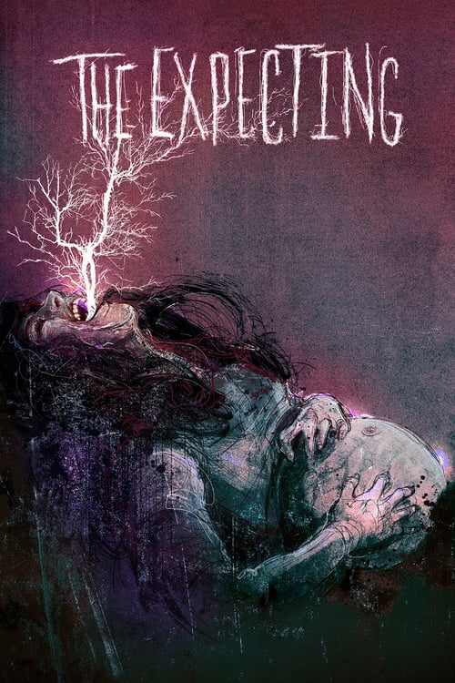 Poster della serie The Expecting