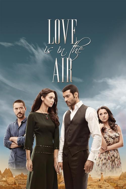 Poster della serie Love Is In The Air