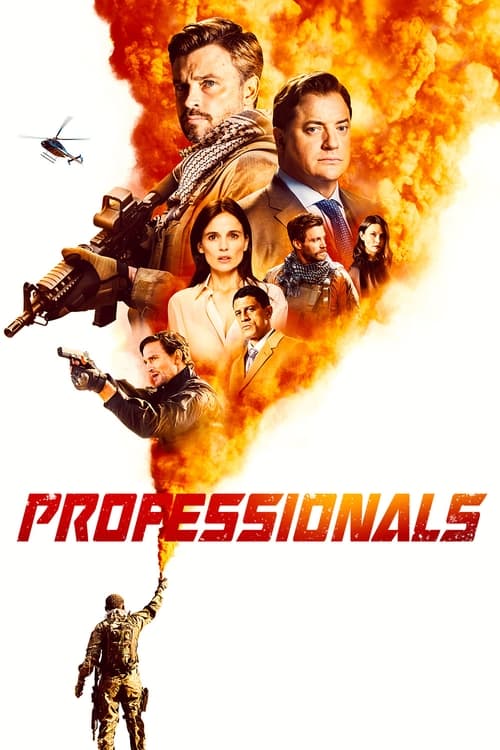 Poster della serie Professionals