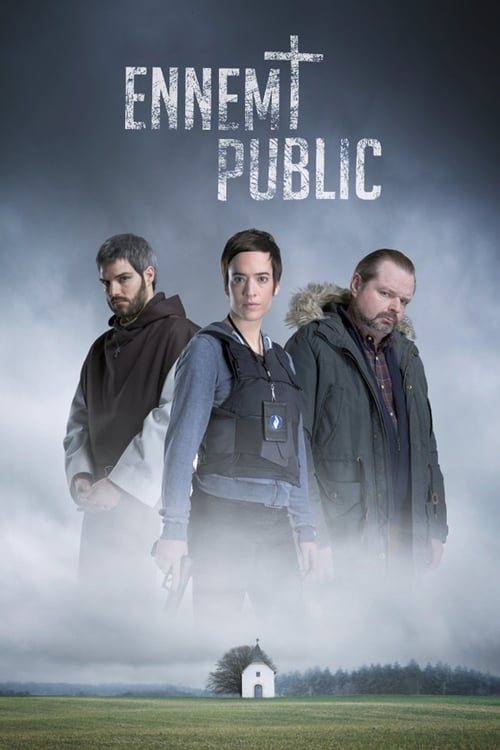Poster della serie Public Enemy