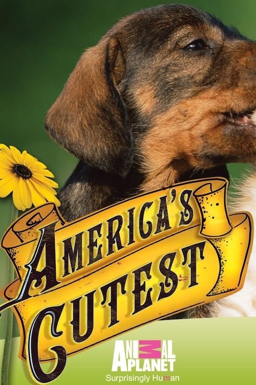 Poster della serie America's Cutest Puppies