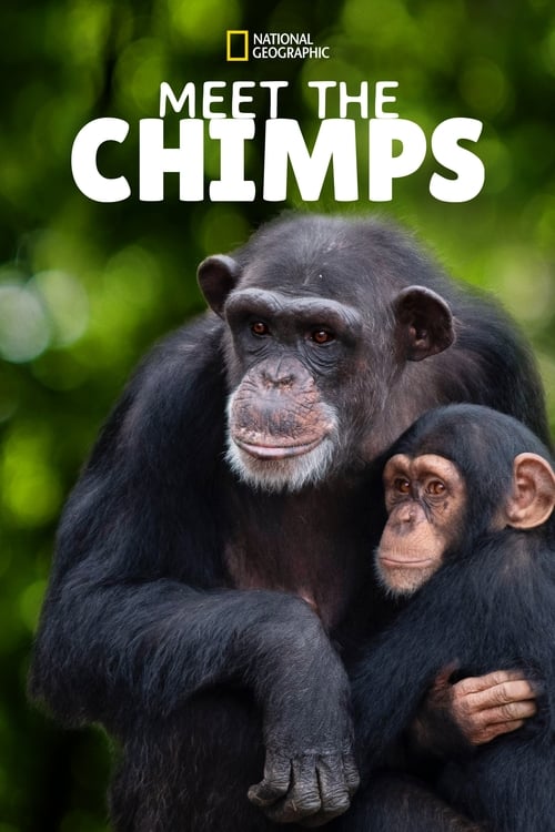 Poster della serie Meet the Chimps