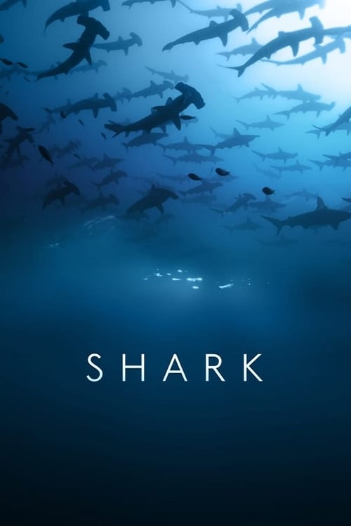 Poster della serie Shark