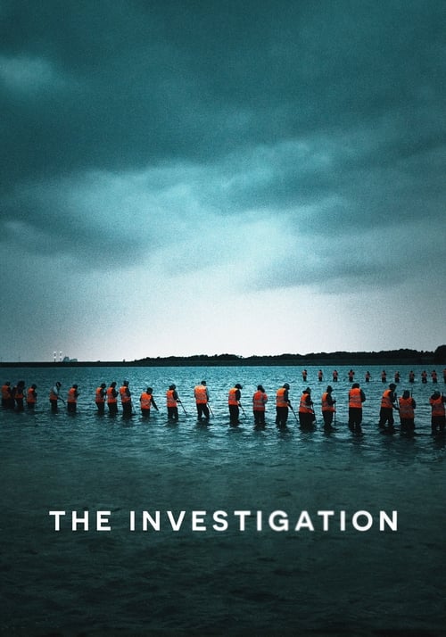 Poster della serie The Investigation