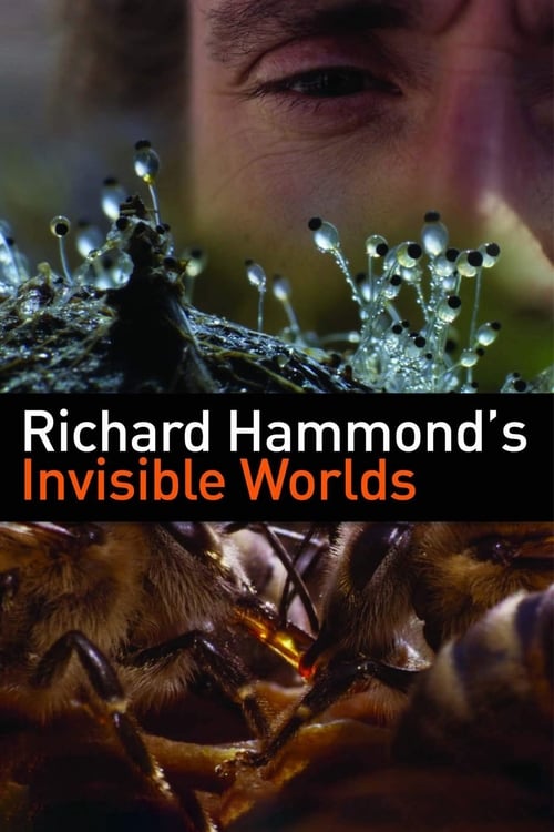 Poster della serie Richard Hammond's Invisible Worlds
