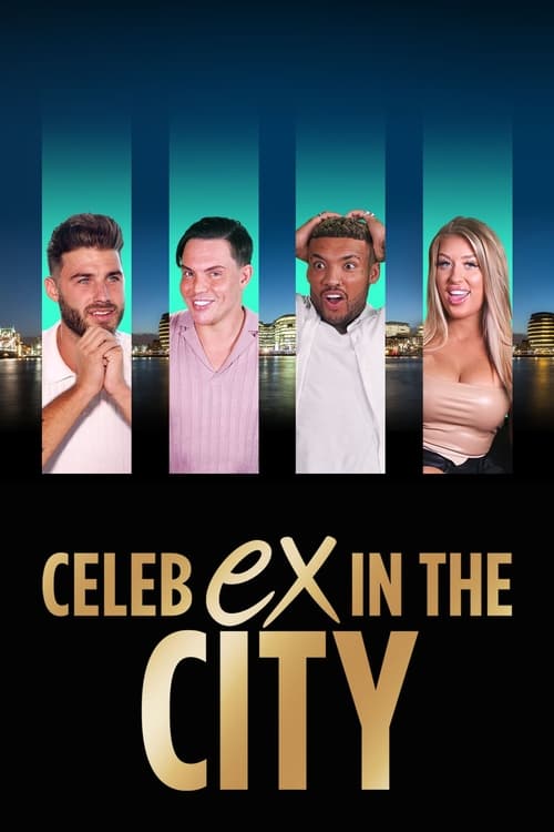 Poster della serie Celeb Ex in the City