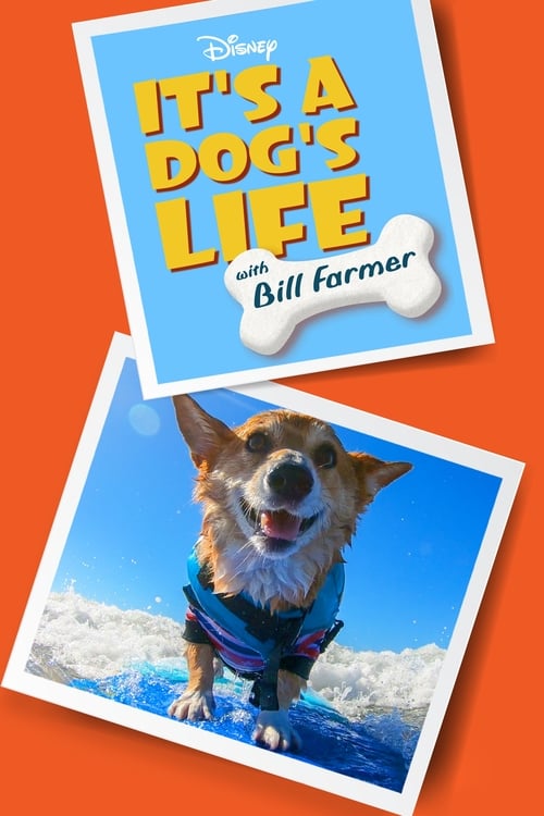 Poster della serie It's a Dog's Life with Bill Farmer