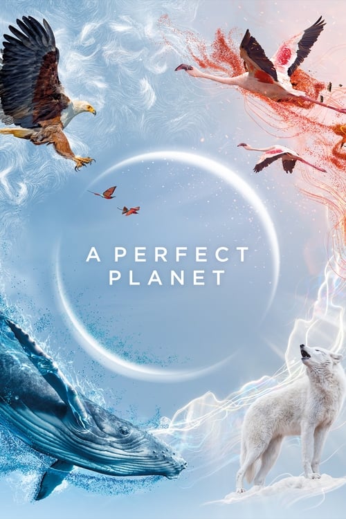 Poster della serie A Perfect Planet