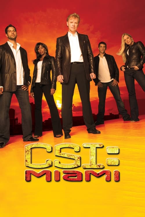 Poster della serie CSI: Miami