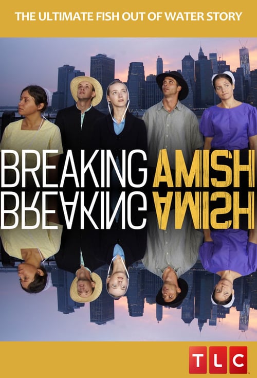 Poster della serie Breaking Amish