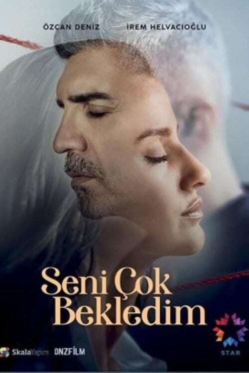 Poster della serie Seni Çok Bekledim