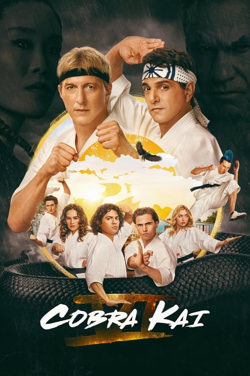 Poster della serie Cobra Kai