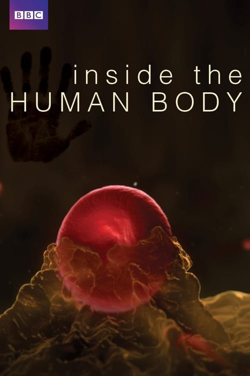 Poster della serie Inside the Human Body