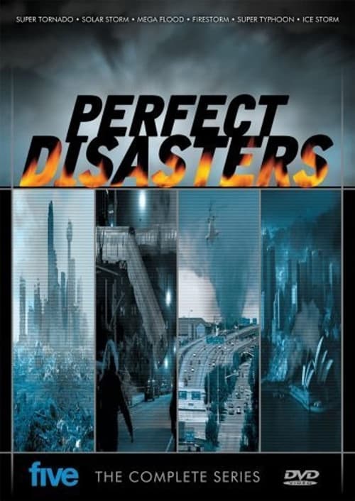 Poster della serie Perfect Disaster