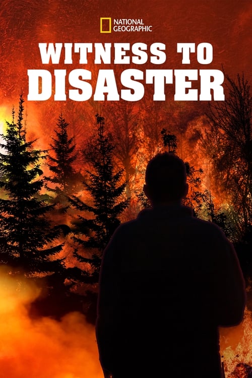 Poster della serie Witness to Disaster