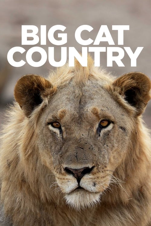 Poster della serie Big Cat Country