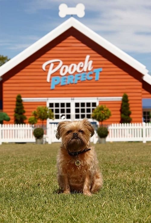 Poster della serie Pooch Perfect