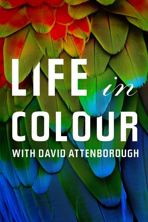 Poster della serie Attenborough's Life in Colour