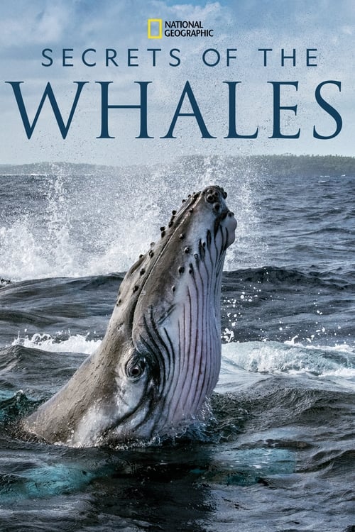 Poster della serie Secrets of the Whales