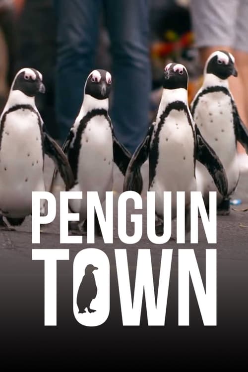 Poster della serie Penguin Town