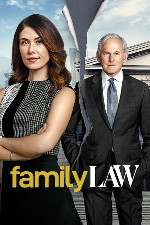 Poster della serie Family Law