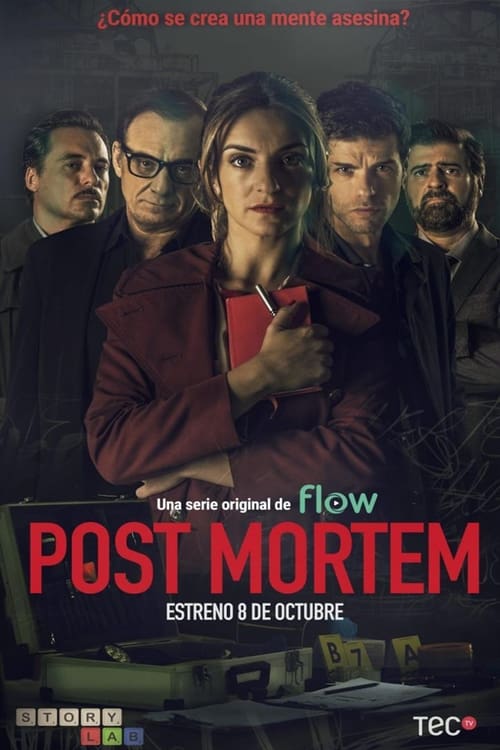 Poster della serie Post Mortem