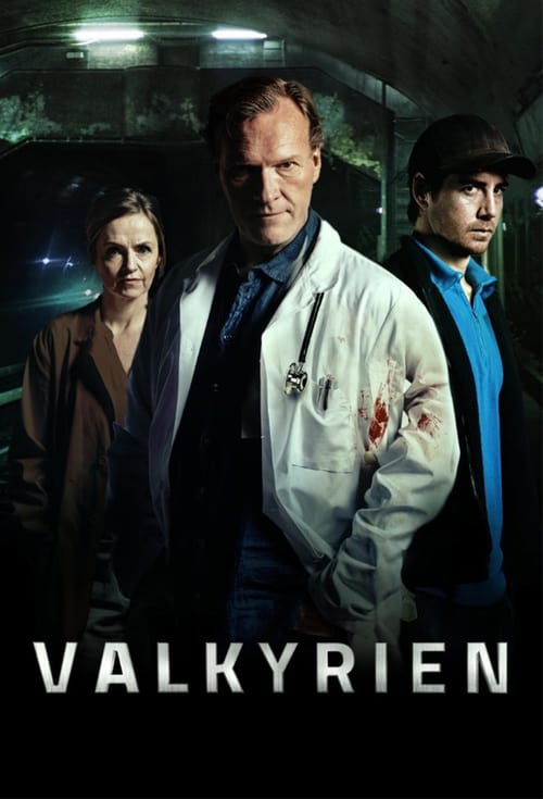 Poster della serie Valkyrien