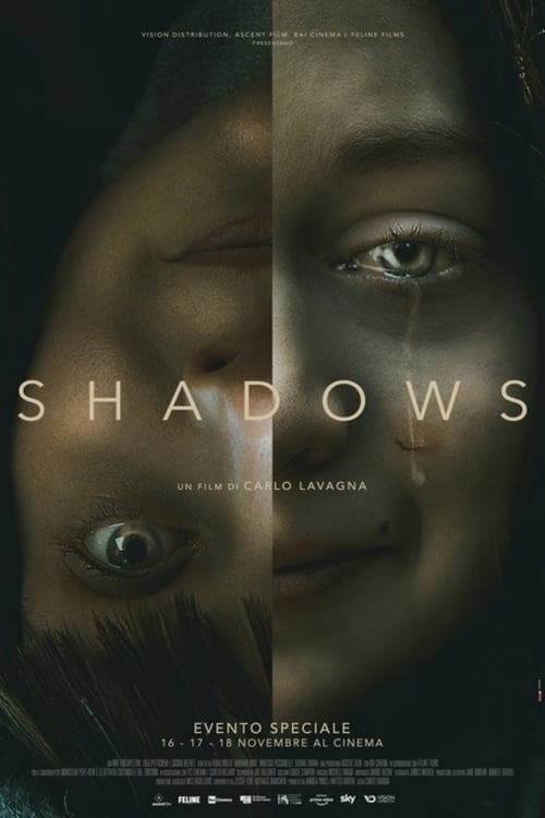 Poster della serie Shadows