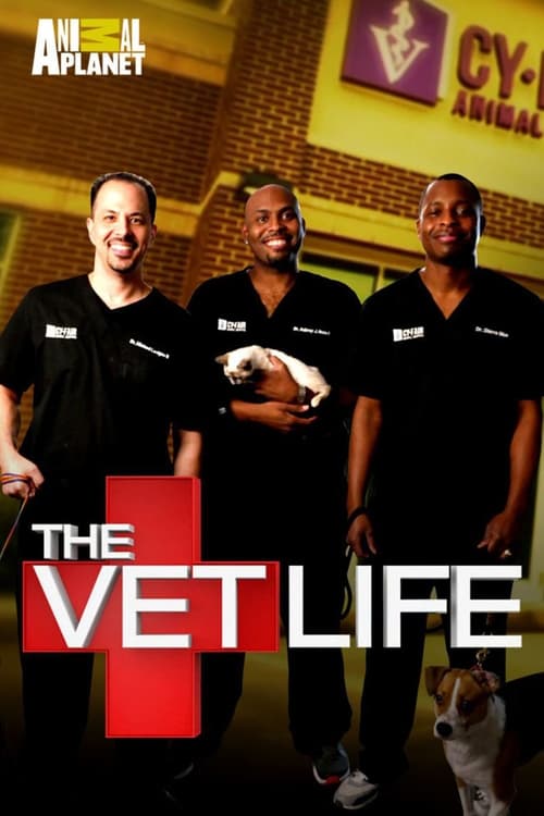 Poster della serie The Vet Life