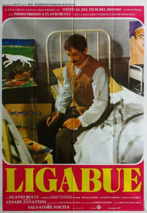 Poster della serie Ligabue