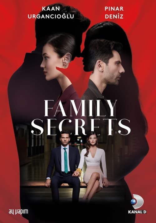 Poster della serie Family Secrets