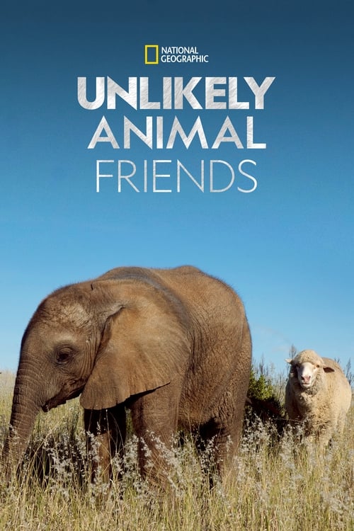 Poster della serie Unlikely Animal Friends