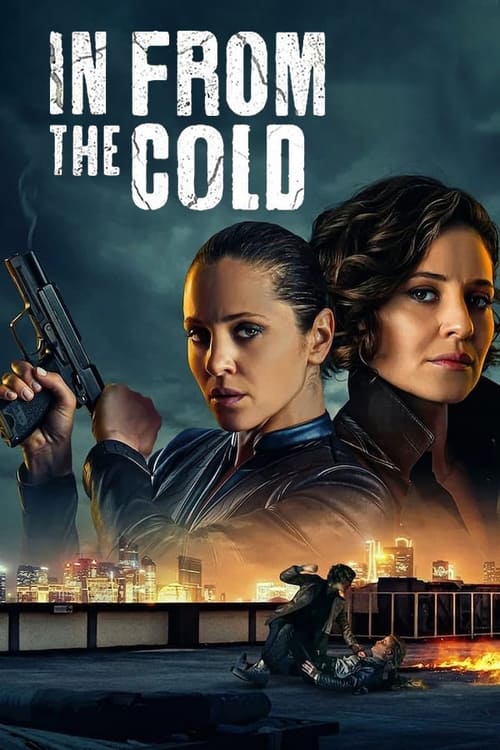 Poster della serie In From the Cold