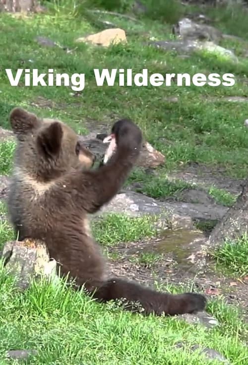 Poster della serie Viking Wilderness
