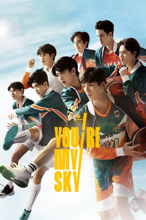 Poster della serie You're My Sky