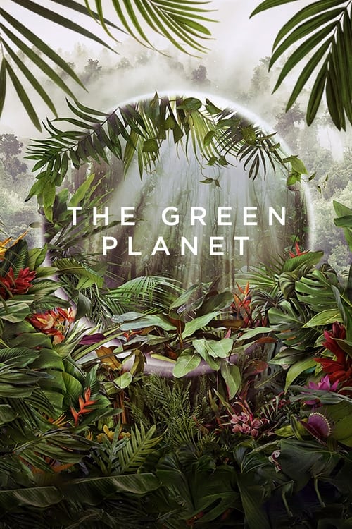 Poster della serie The Green Planet