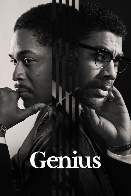 Poster della serie Genius